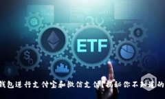 如何用TP钱包进行支付宝和微信支付？揭秘你不知