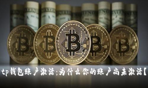 tp钱包账户激活：为什么你的账户尚未激活？