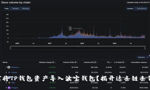 ### 如何将TP钱包资产导入波宝钱包？揭开这条链条背后的秘密！