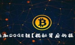 如何在TP钱包中添加DOGE链？揭秘背后的操作技巧