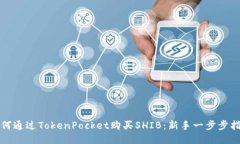 如何通过TokenPocket购买SHIB：新手一步步指南