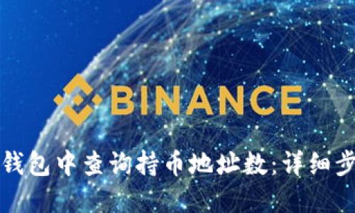 如何在TP钱包中查询持币地址数：详细步骤与技巧