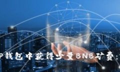 如何在TP钱包中获得少量BNB矿费：实用指南