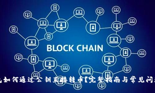 TP钱包如何通过公钥直接转币？完整指南与常见问题解答