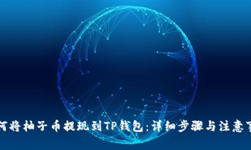 如何将柚子币提现到TP钱包：详细步骤与注意事项