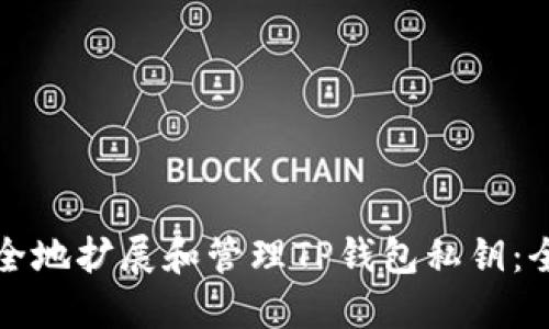 如何安全地扩展和管理TP钱包私钥：全面指南