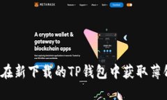 如何在新下载的TP钱包中获取薄饼币？