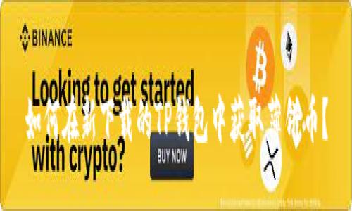 如何在新下载的TP钱包中获取薄饼币？