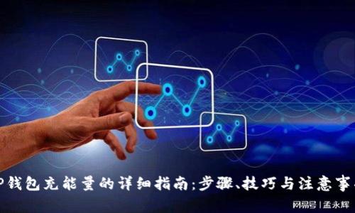 TP钱包充能量的详细指南：步骤、技巧与注意事项