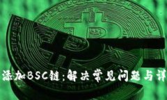 tp钱包如何添加BSC链：解决常见问题与详细操作指