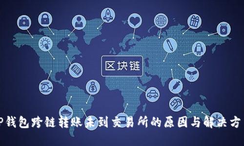 TP钱包跨链转账未到交易所的原因与解决方法