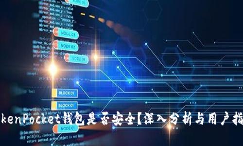 TokenPocket钱包是否安全？深入分析与用户指南