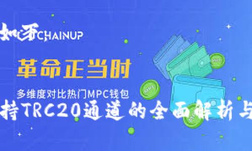 和关键词如下：


TP钱包支持TRC20通道的全面解析与应用指南