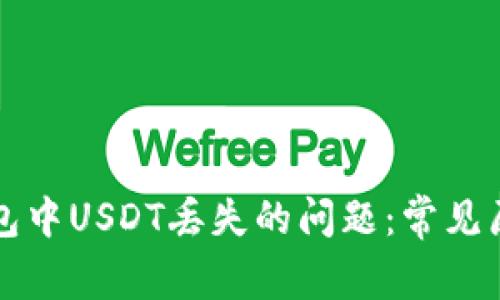 如何解决TP钱包中USDT丢失的问题：常见原因与解决方案