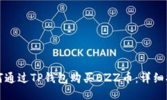 如何通过TP钱包购买BZZ币：详细指南