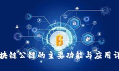 区块链公链的主要功能与应用详解