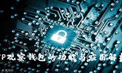 TP观察钱包的功能与应用解析