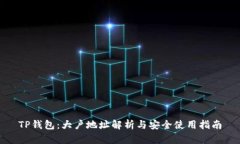 TP钱包：大户地址解析与安全使用指南