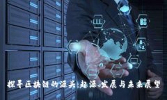 探寻区块链的源头：起源、发展与未来展望