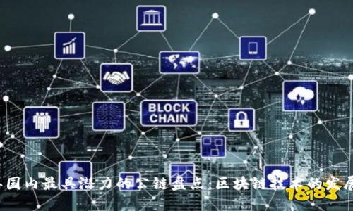 2023年国内最具潜力的公链盘点：区块链技术的发展与应用