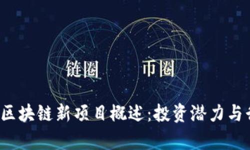 2023年深圳区块链新项目概述：投资潜力与行业趋势分析