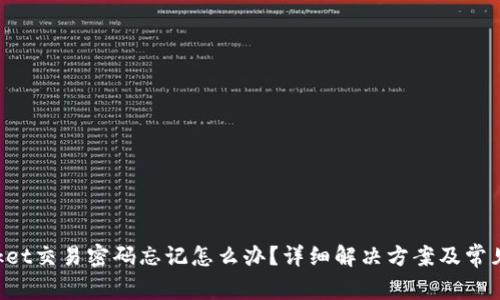 TokenPocket交易密码忘记怎么办？详细解决方案及常见问题解答