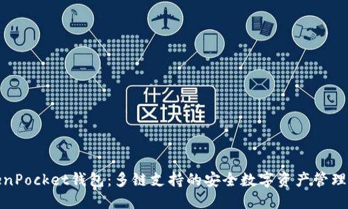 TokenPocket钱包：多链支持的安全数字资产管理工具