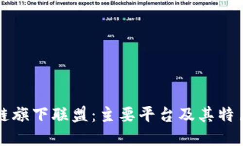区块链旗下联盟：主要平台及其特色详解