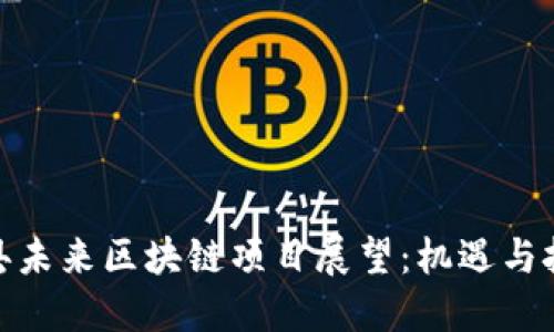 雄县未来区块链项目展望：机遇与挑战