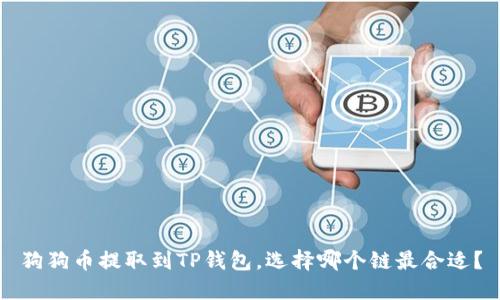 狗狗币提取到TP钱包,选择哪个链最合适?