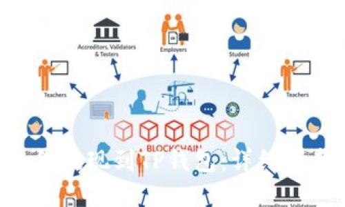 EOS币如何提现到TP钱包：详细指南与步骤