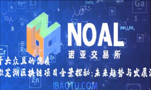 易于大众且的优质
安徽芜湖区块链项目全景探秘：未来趋势与发展潜力