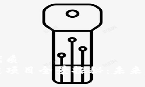 易于大众且的优质
安徽芜湖区块链项目全景探秘：未来趋势与发展潜力