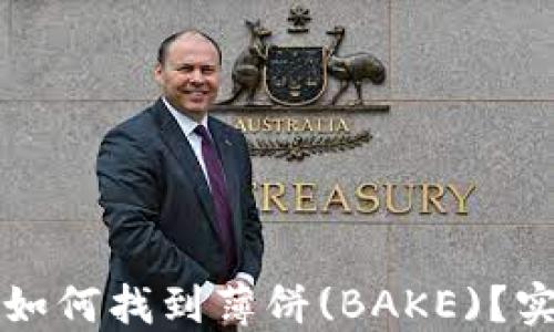 TP钱包如何找到薄饼(BAKE)?实用指南